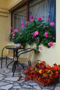 Restauracja Myśliwska Łasin