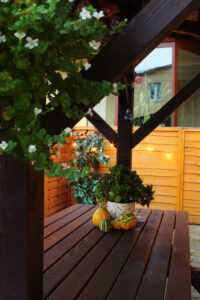 Restauracja Myśliwska Łasin