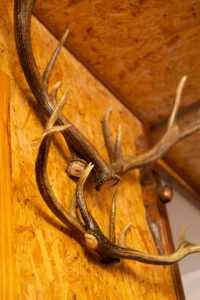 Restauracja Myśliwska Łasin